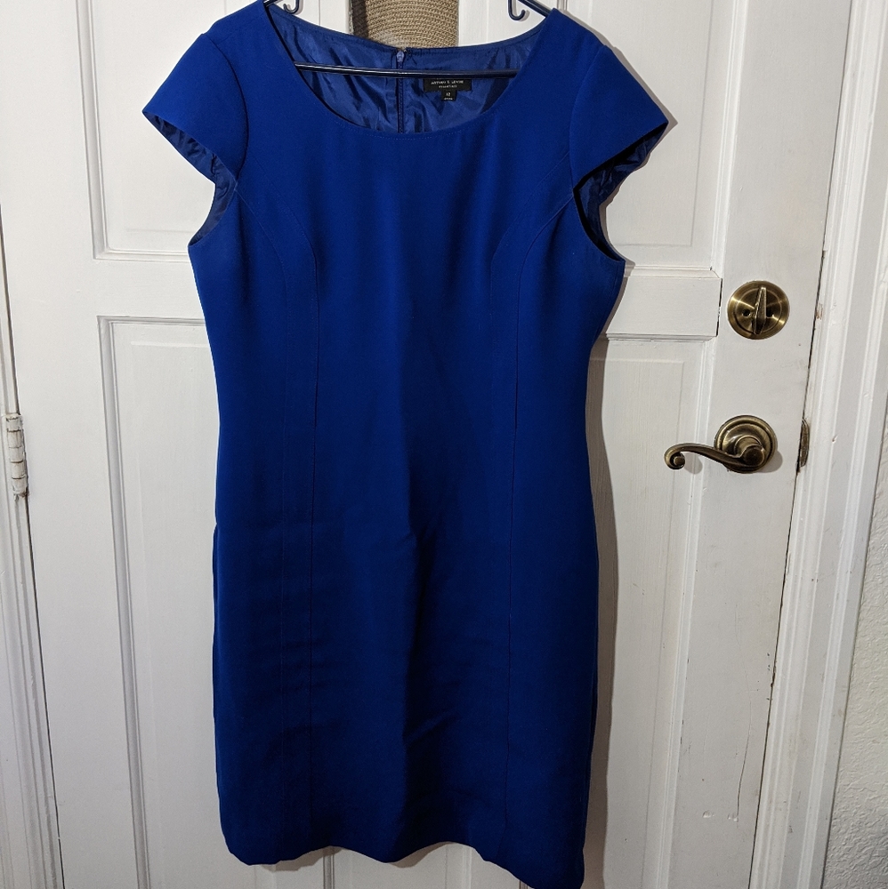 Electric Blue Shift Dress